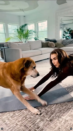 Prospect Pet w/ Brooke Shields